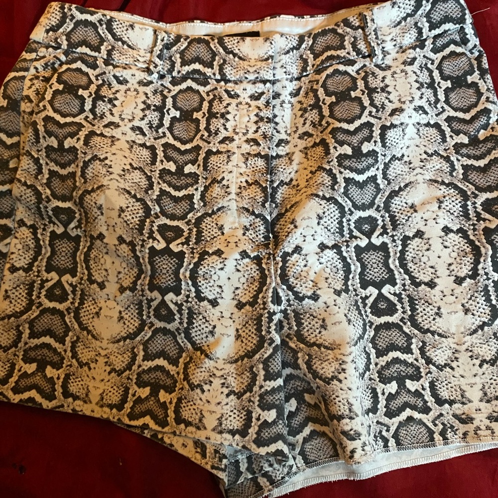 Snake Skin Shorts